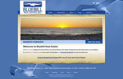 Bluebill Real Estate Web Site