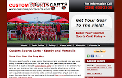 Custom Sports Carts